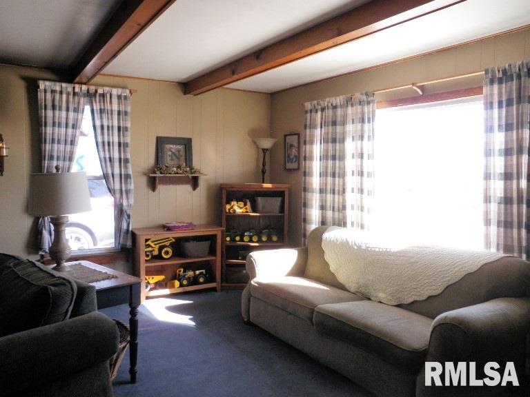 10250 Olson Road Erie, IL 61250 - Photo 6 of 23