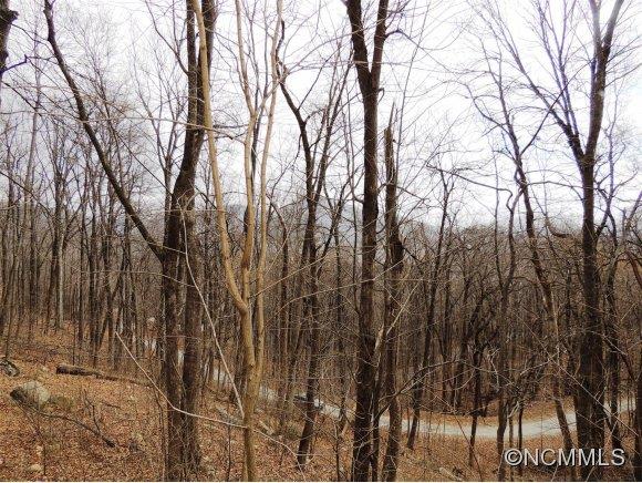 135 Crow Rd Lake Lake Lure, NC 28746 - Photo 14 of 24 Gallery Image 14