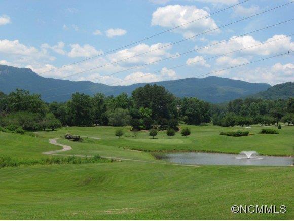 135 Crow Rd Lake Lake Lure, NC 28746 - Photo 22 of 24 Gallery Image 22