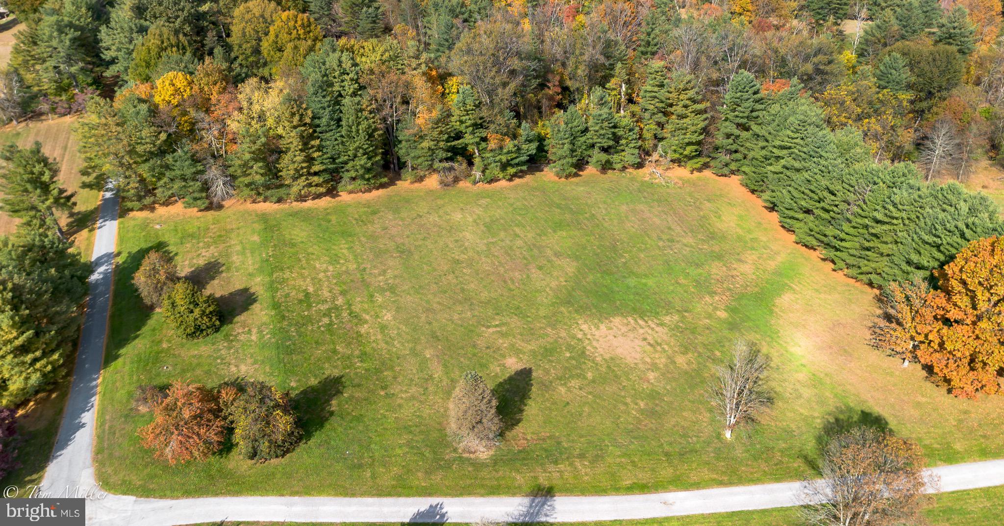 18423 Foreston Road Parkton, MD 21120 - Photo 6 of 7 a view of a yard