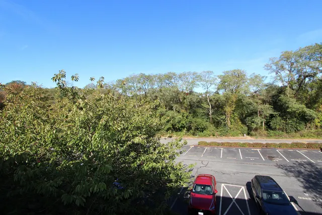 a view of a house with a small yard and plants