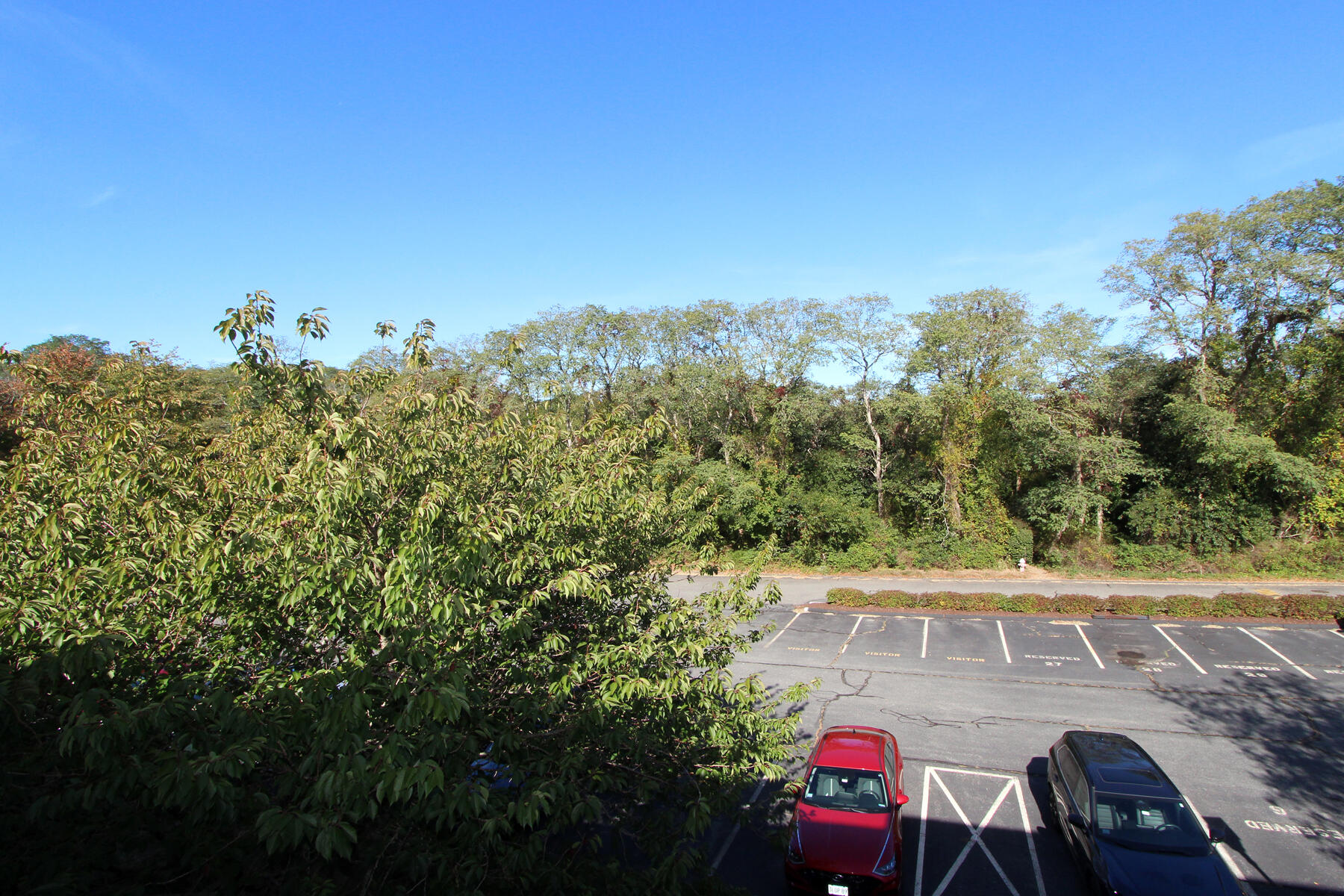 42 Old Colony Way, Unit 30 Orleans, MA 02653 - Photo 19 of 36 a view of a yard