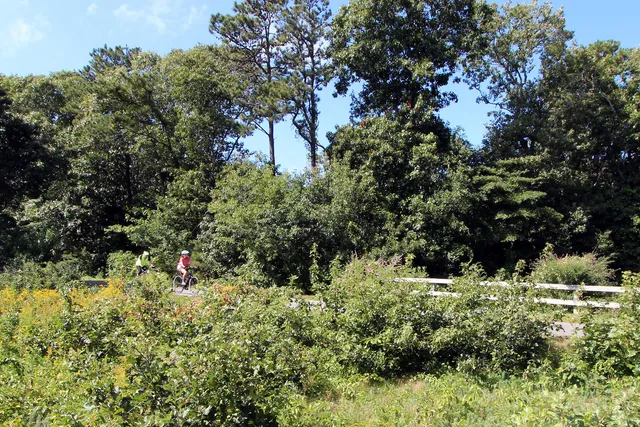 $299,000 | 42 Old Colony Way, Unit 30, Orleans, MA 02653