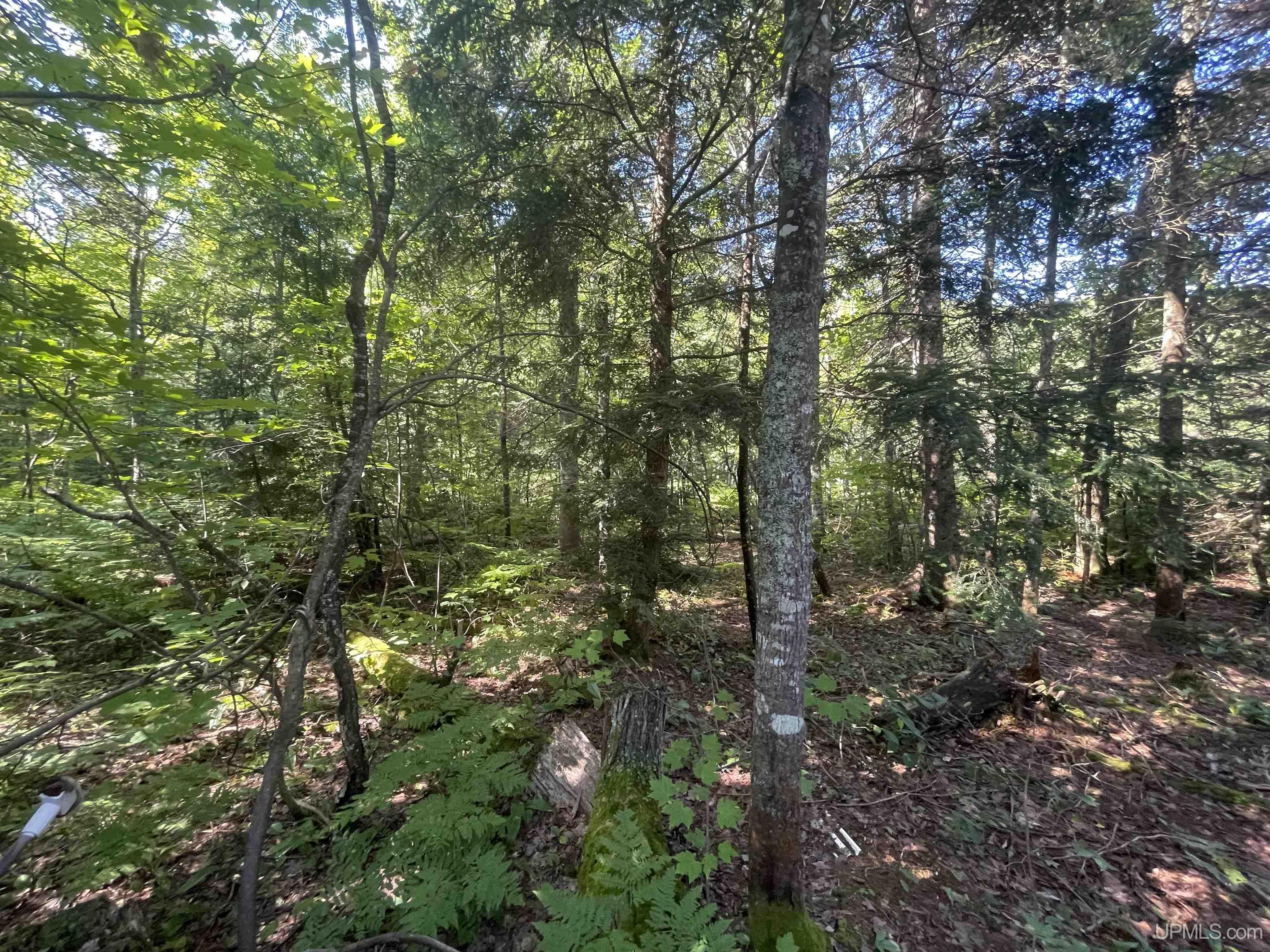 510 Rd Ishpeming Mi 49849 Road Negaunee, MI 49866 - Photo 26 of 35