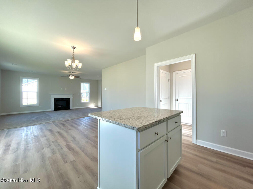 702 Lantern Rst Lane Jacksonville, NC 28546 - Photo 22 of 49 SIMILAR PHOTO