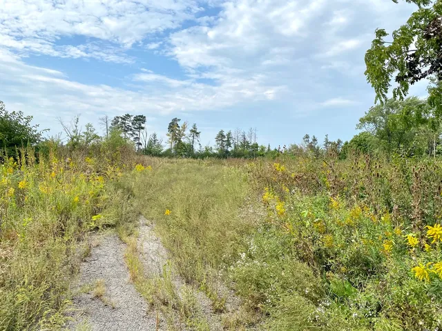 $875,000 | 28884 Highway 83, Mundelein, IL 60060