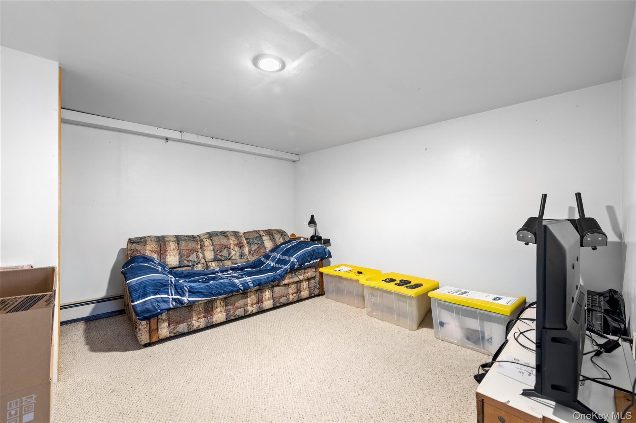 2360 Hamilton Road Merrick, NY 11566 - Photo 23 of 31 Entertainment Basement
