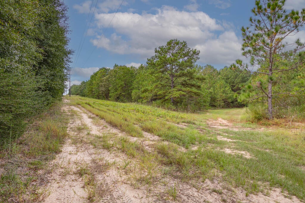 1195 Power Dam Road Newton, AL 36352 - Photo 55 of 87 Gallery Image 55