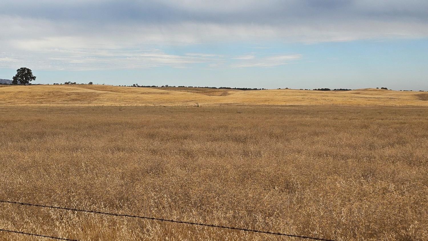 11 West County Road 11 Capay, CA 95607 - Photo 3 of 7