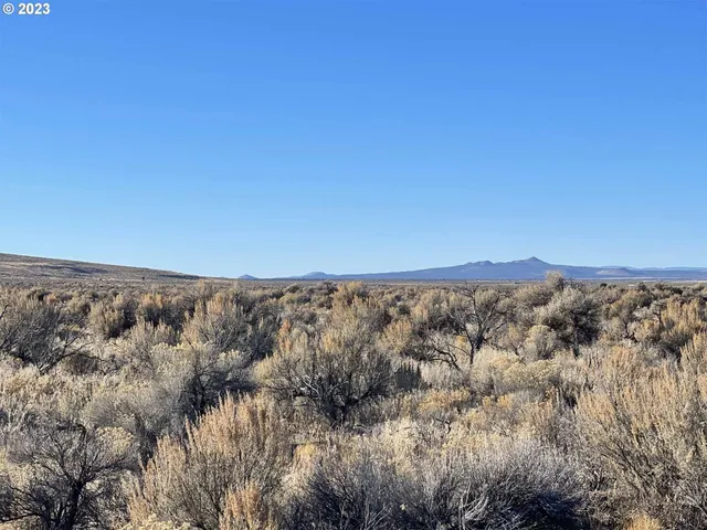 a view of a dry yard with green space