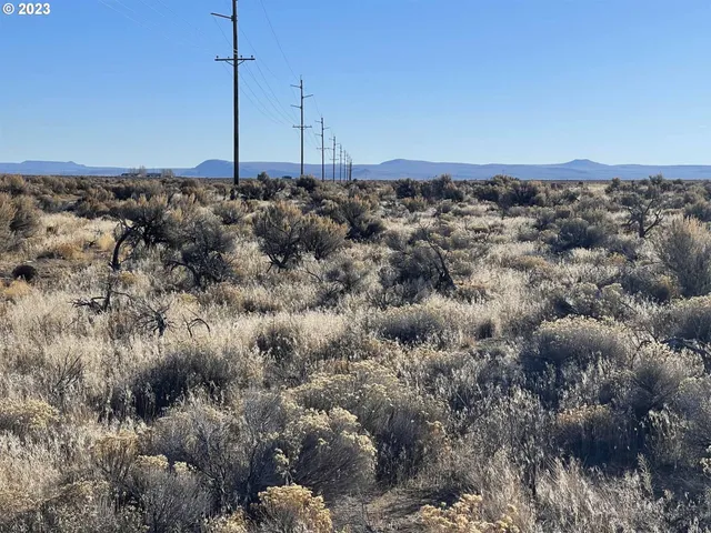 $9,000 | Rockhouse Road, Unit 300, Christmas Valley, OR 97641