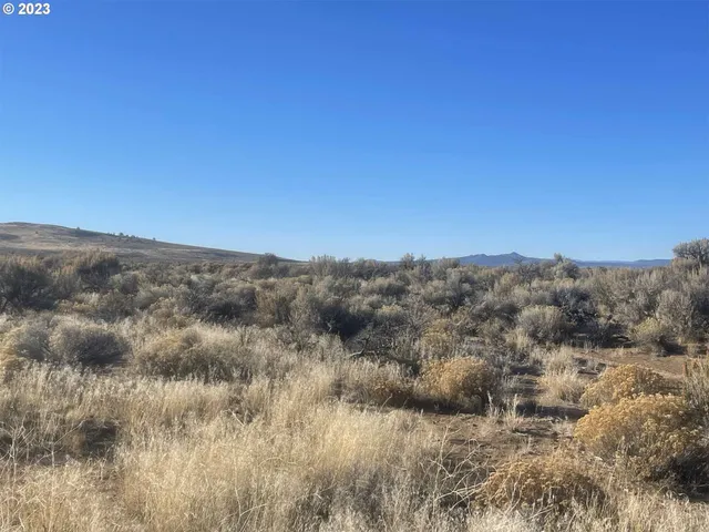 a view of a dry yard with mountains in the background
