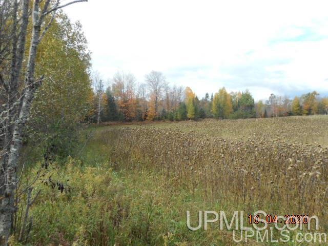 28662 South Wasas Road Mass City, MI 49948 - Photo 11 of 13