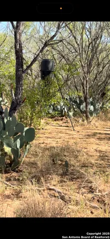 $1,000 | 339 Pr Mia, Unit 1, Floresville, TX 78114