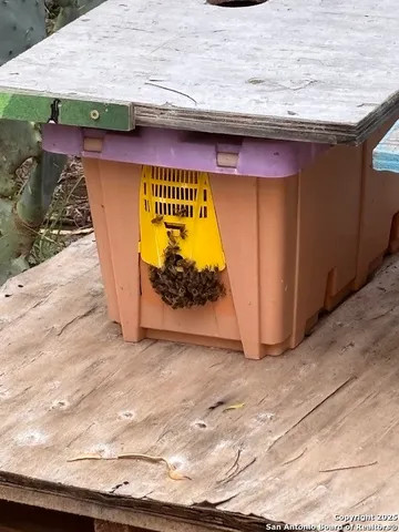 $1,000 | 339 Pr Mia, Unit 1, Floresville, TX 78114