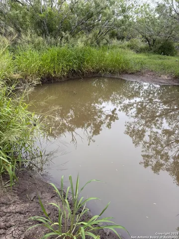 $1,000 | 339 Pr Mia, Unit 1, Floresville, TX 78114