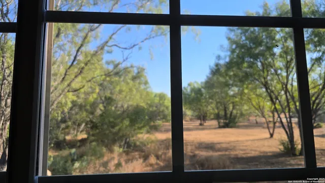 a view of a from a window