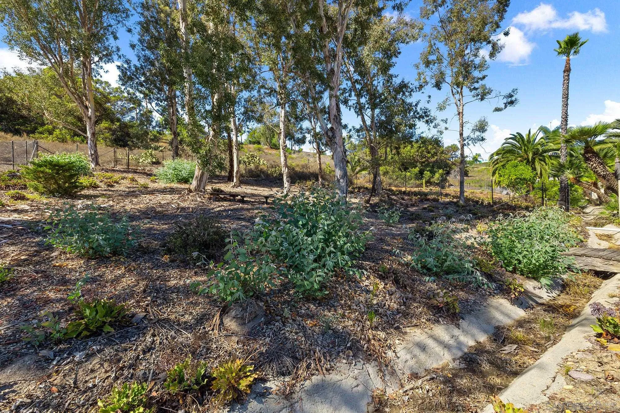 13958 Carriage Road Poway, CA 92064 - Photo 26 of 35 a view of backyard with green space