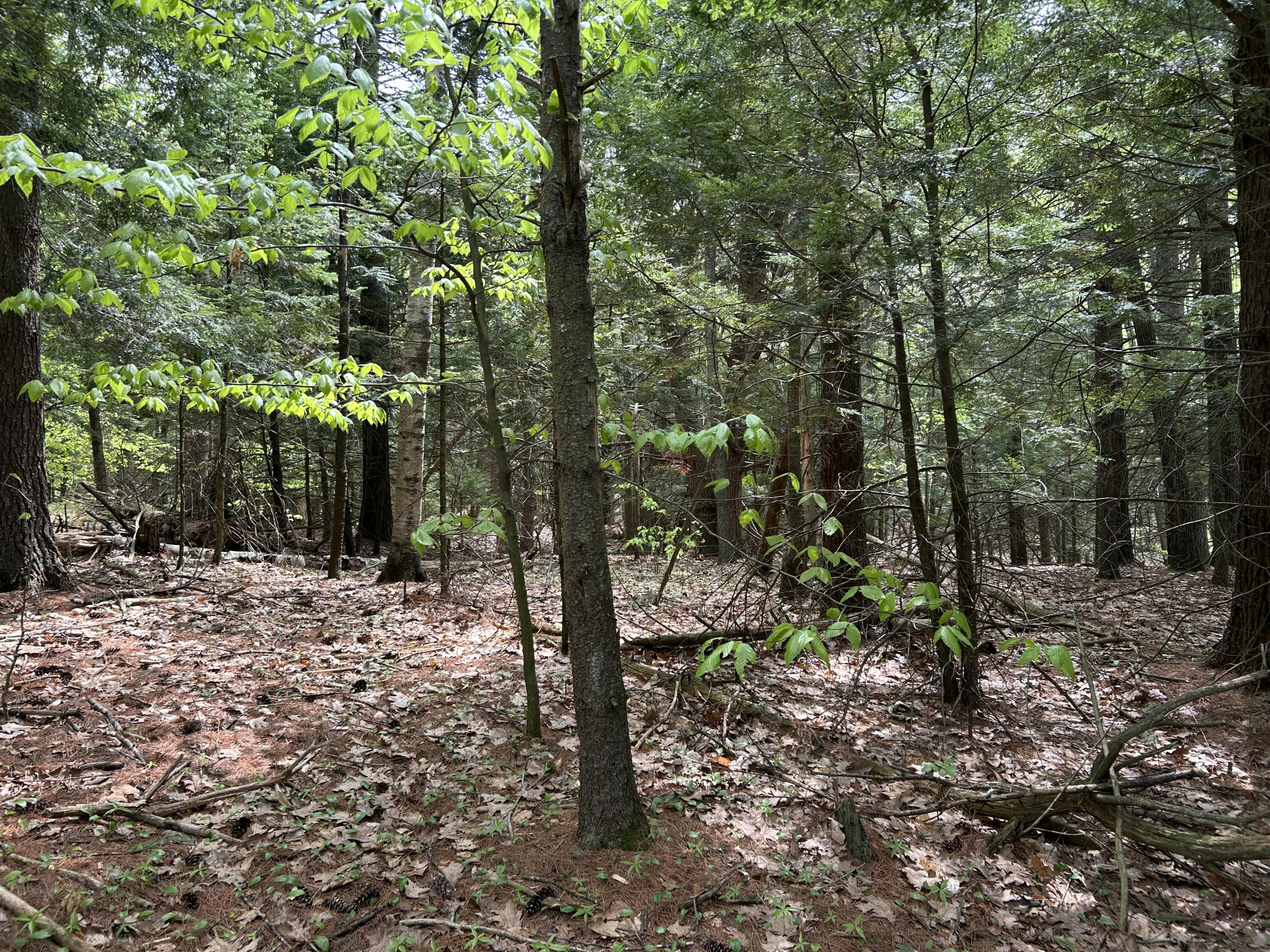 281 Randall Road Lewiston, ME 04240 - Photo 29 of 31