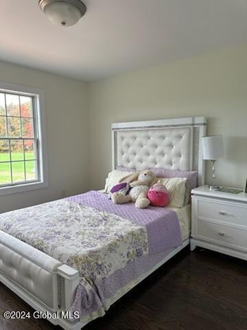 209 Samuel Court Schenectady, NY 12306 - Photo 51 of 60 -7730020259203357866