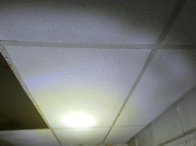 $36,900 | 156 Pilgrim Street, Highland Park, MI 48203