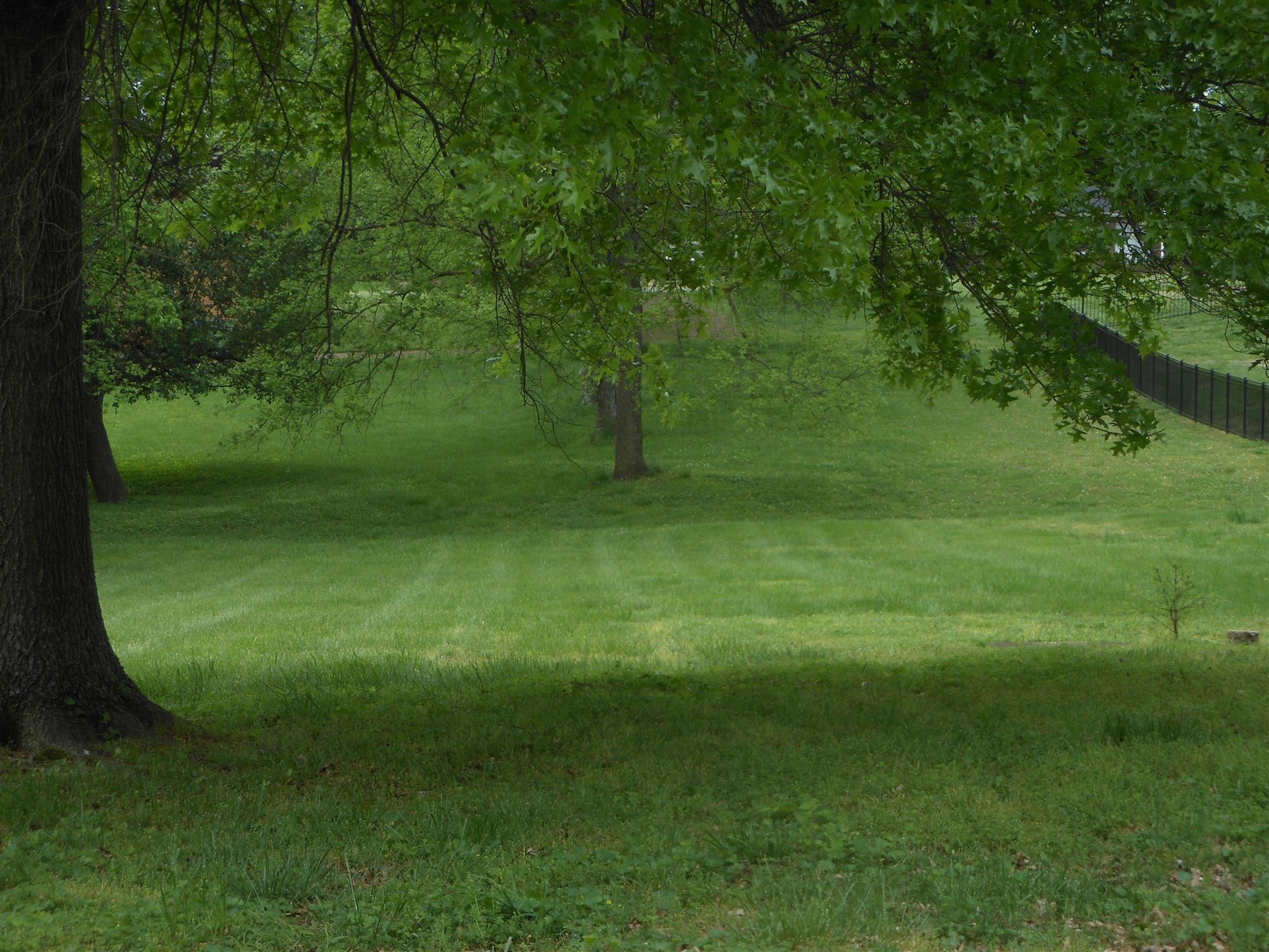 225 Kennett Road Old Hickory, TN 37138 - Photo 29 of 30 GORGEOUS YARD!!!!!
