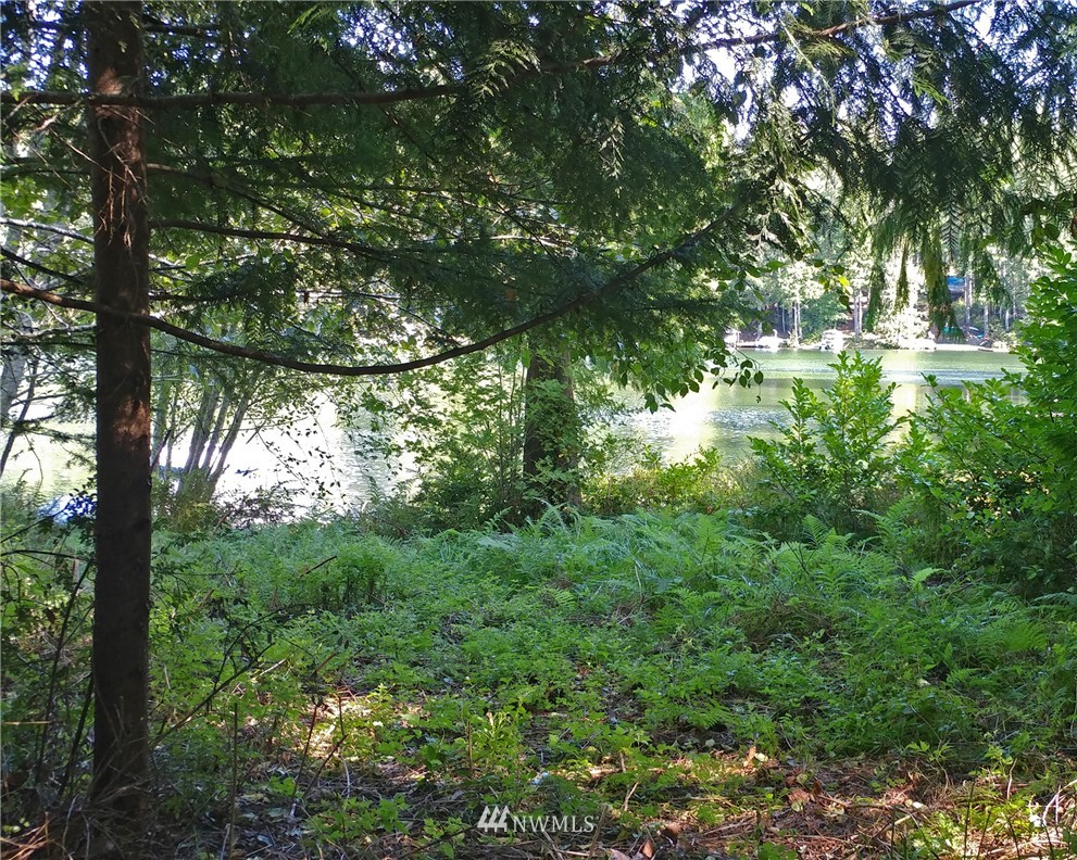 1847 Northeast Tahuya Blacksmith Road Tahuya, WA 98588 - Photo 4 of 10 Gallery Image 4