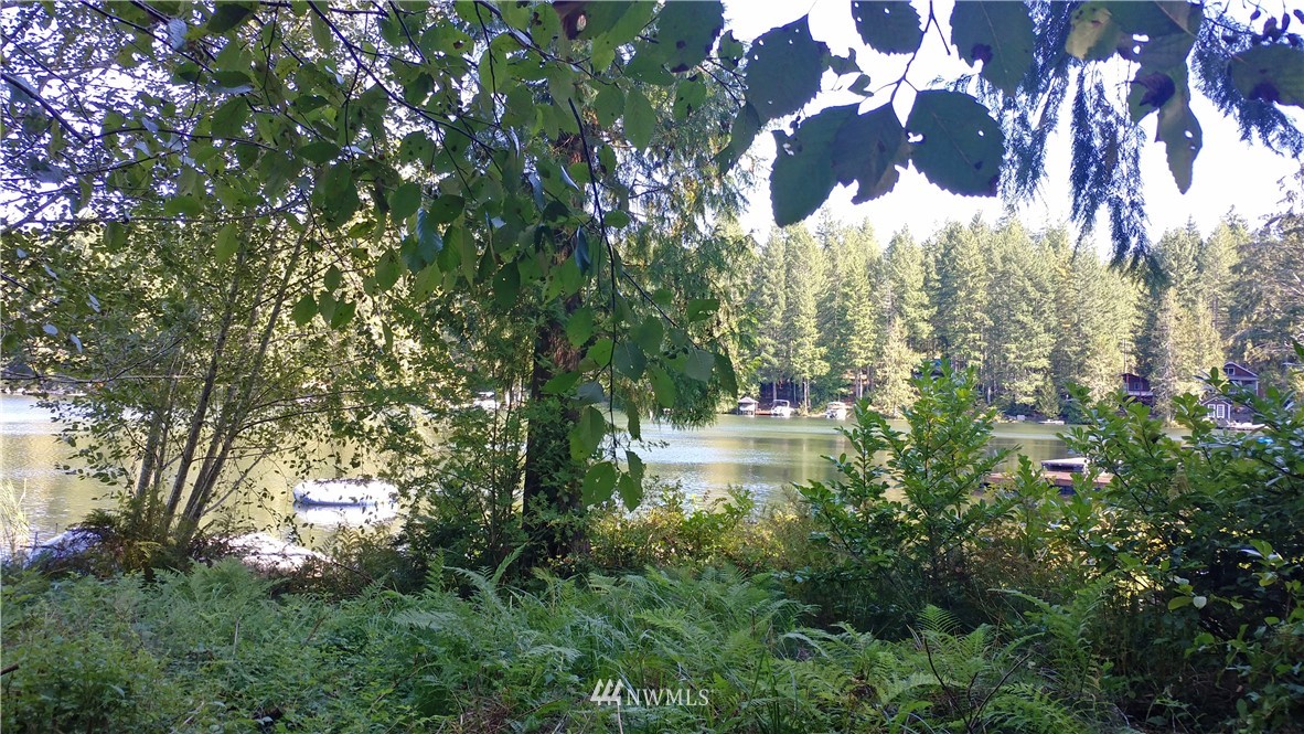1847 Northeast Tahuya Blacksmith Road Tahuya, WA 98588 - Photo 10 of 10 Gallery Image 10