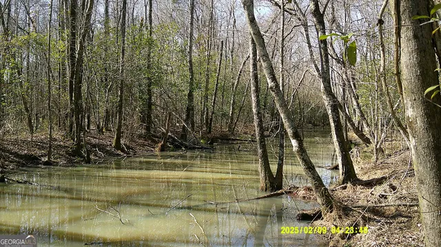 $375,000 | 0 Elko Road, Unadilla, GA 31091