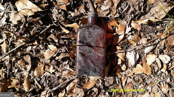 a view of water pond with trees