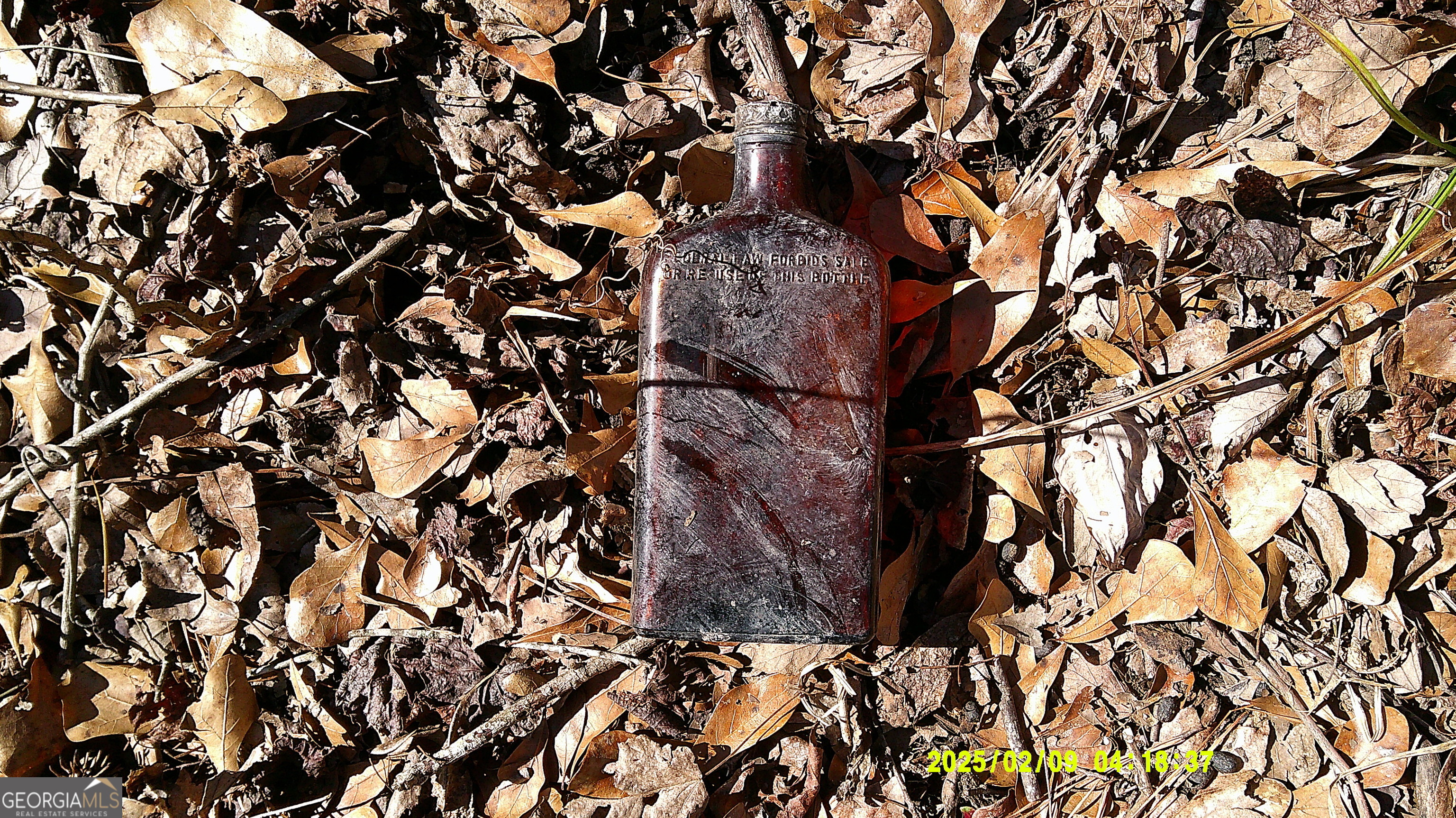 0 Elko Road Unadilla, GA 31091 - Photo 12 of 29 a picture of tree