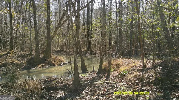 a view of outdoor space