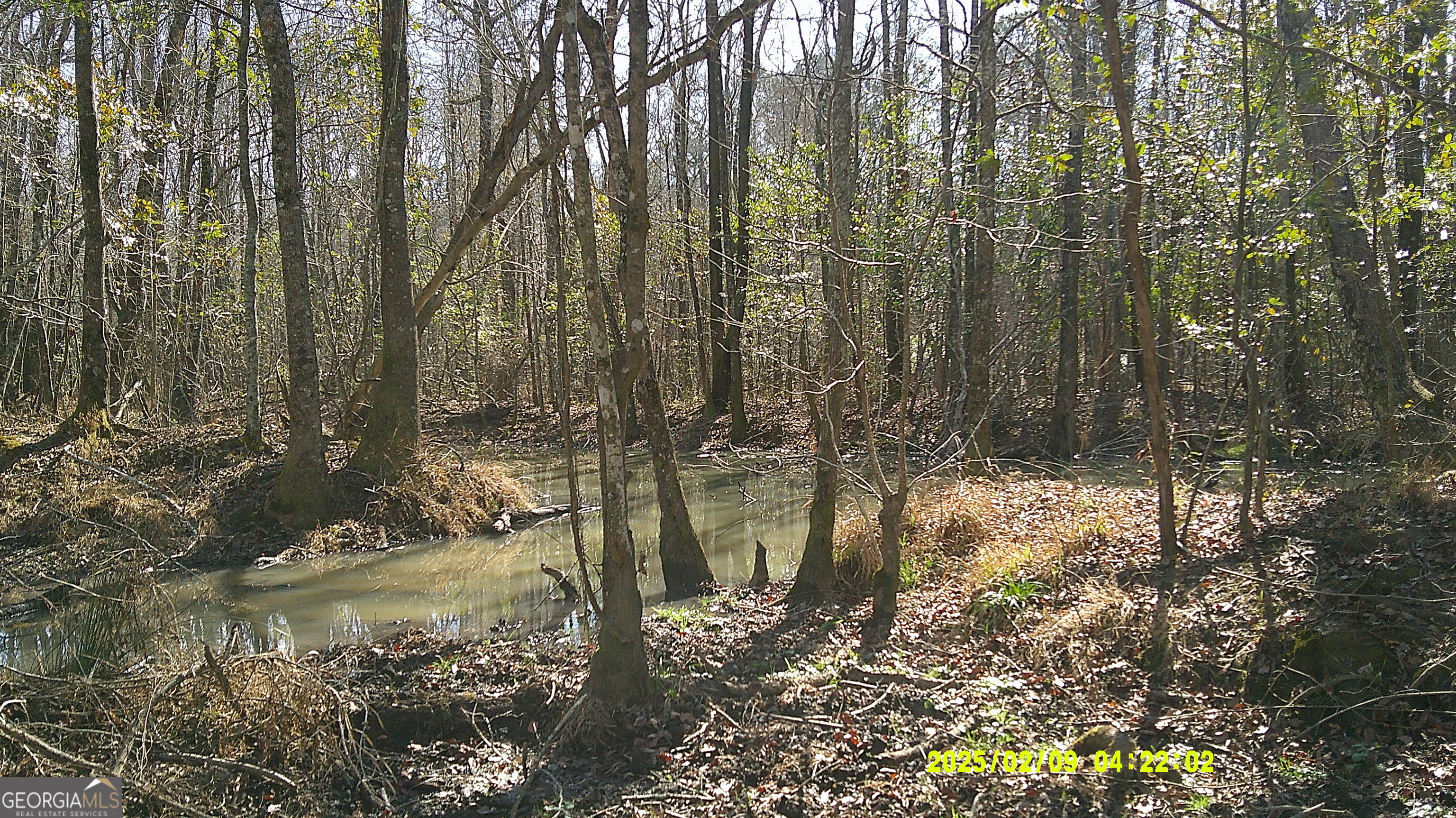 0 Elko Road Unadilla, GA 31091 - Photo 15 of 29 a backyard of a house with lots of green space