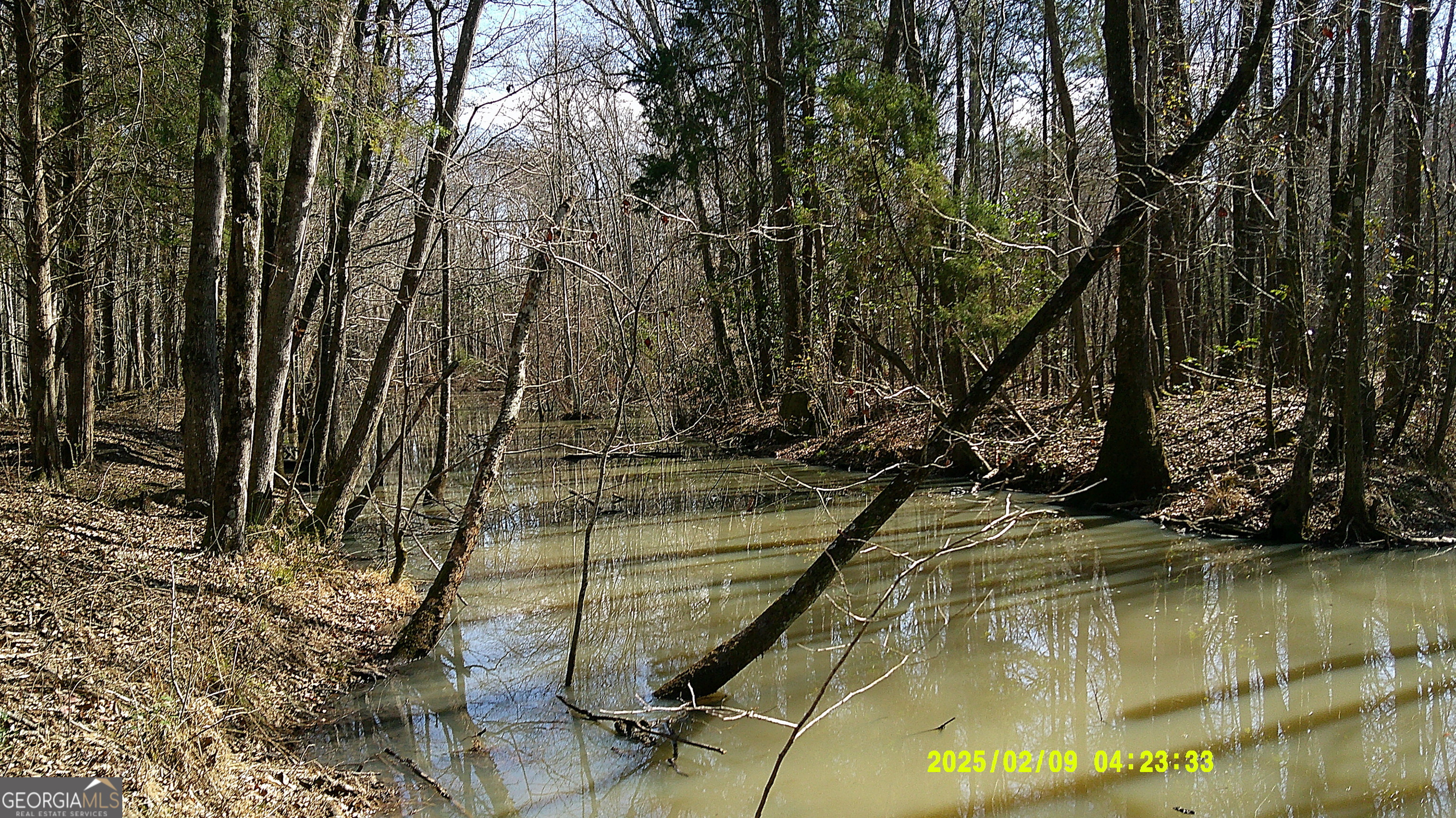0 Elko Road Unadilla, GA 31091 - Photo 16 of 29 a view of water pond with trees
