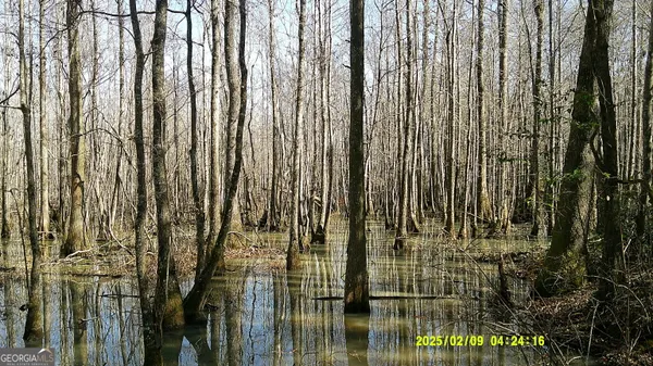 a view of outdoor space with deck and tree