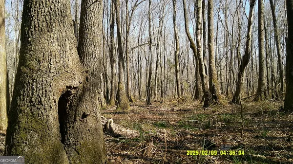 a view of an outdoor space and a yard