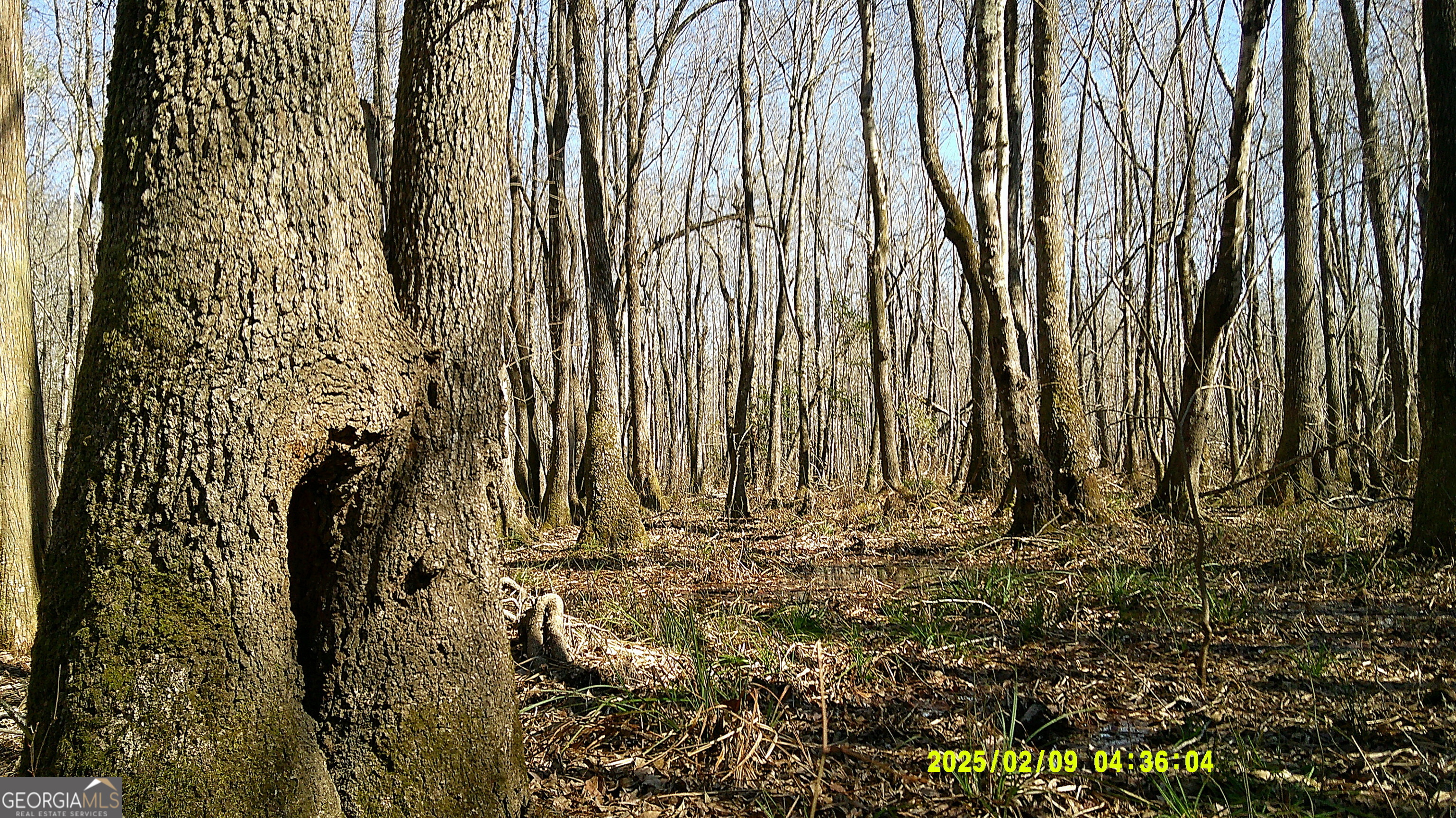 0 Elko Road Unadilla, GA 31091 - Photo 18 of 29 a view of water heater room