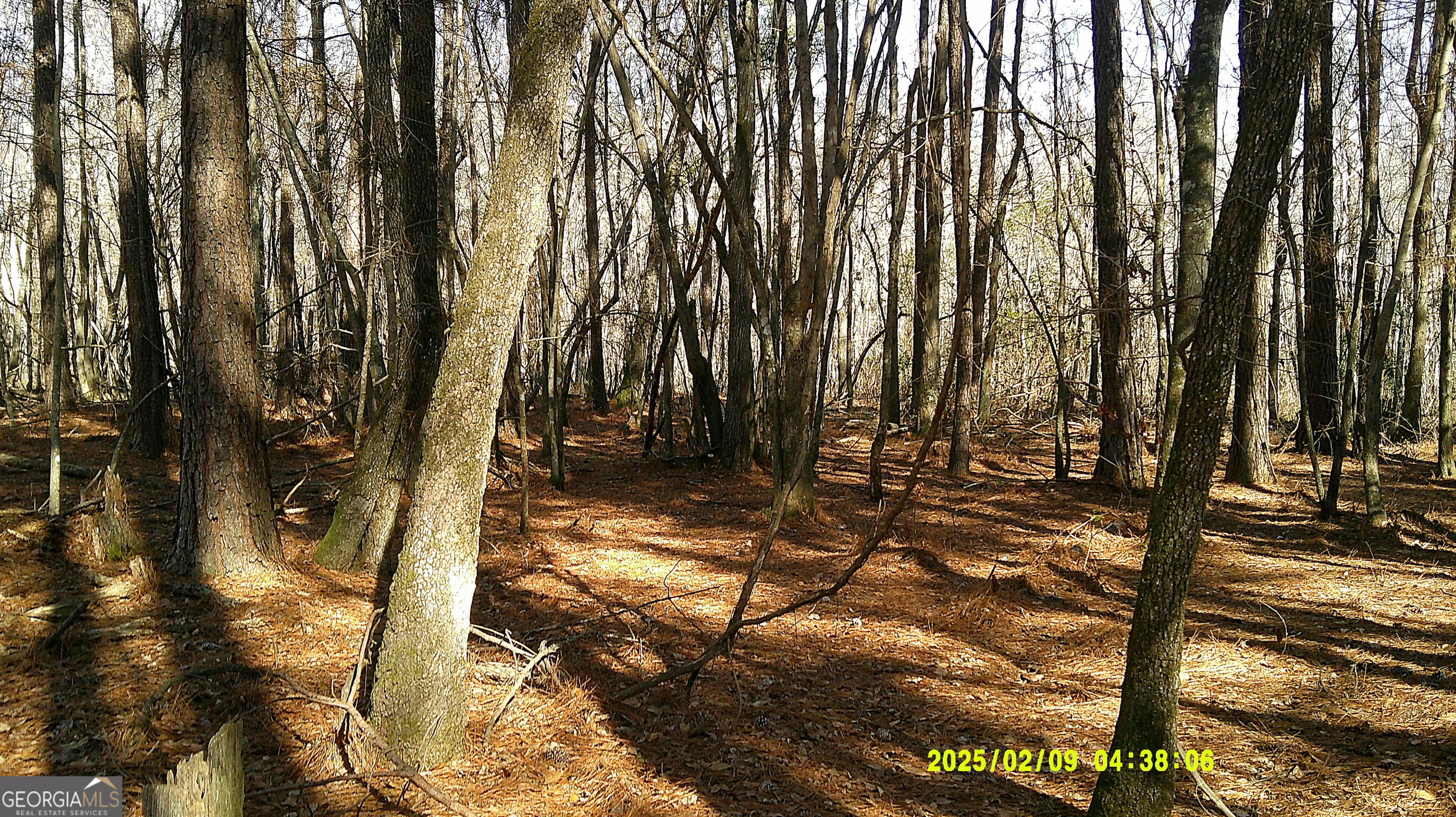 0 Elko Road Unadilla, GA 31091 - Photo 20 of 29 a view of outdoor space