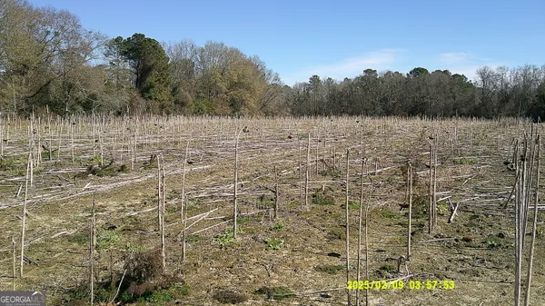 a view of a pathway of a house