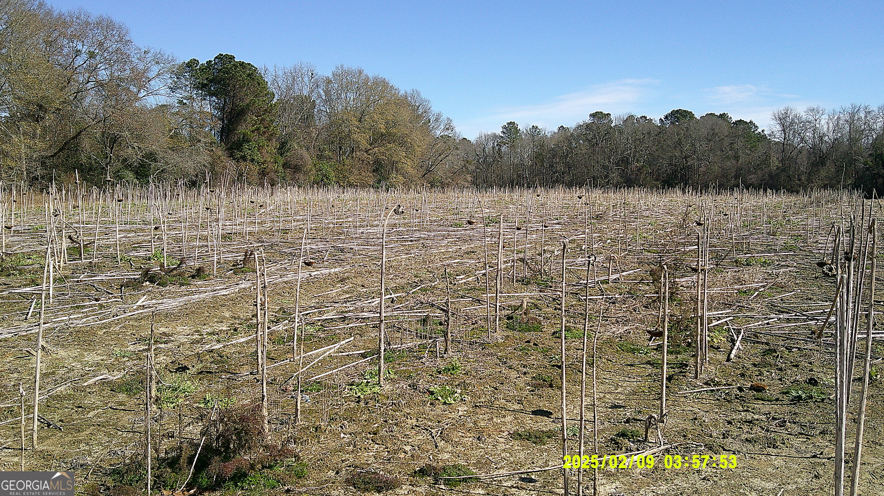 0 Elko Road Unadilla, GA 31091 - Photo 2 of 29 a view of a lake view