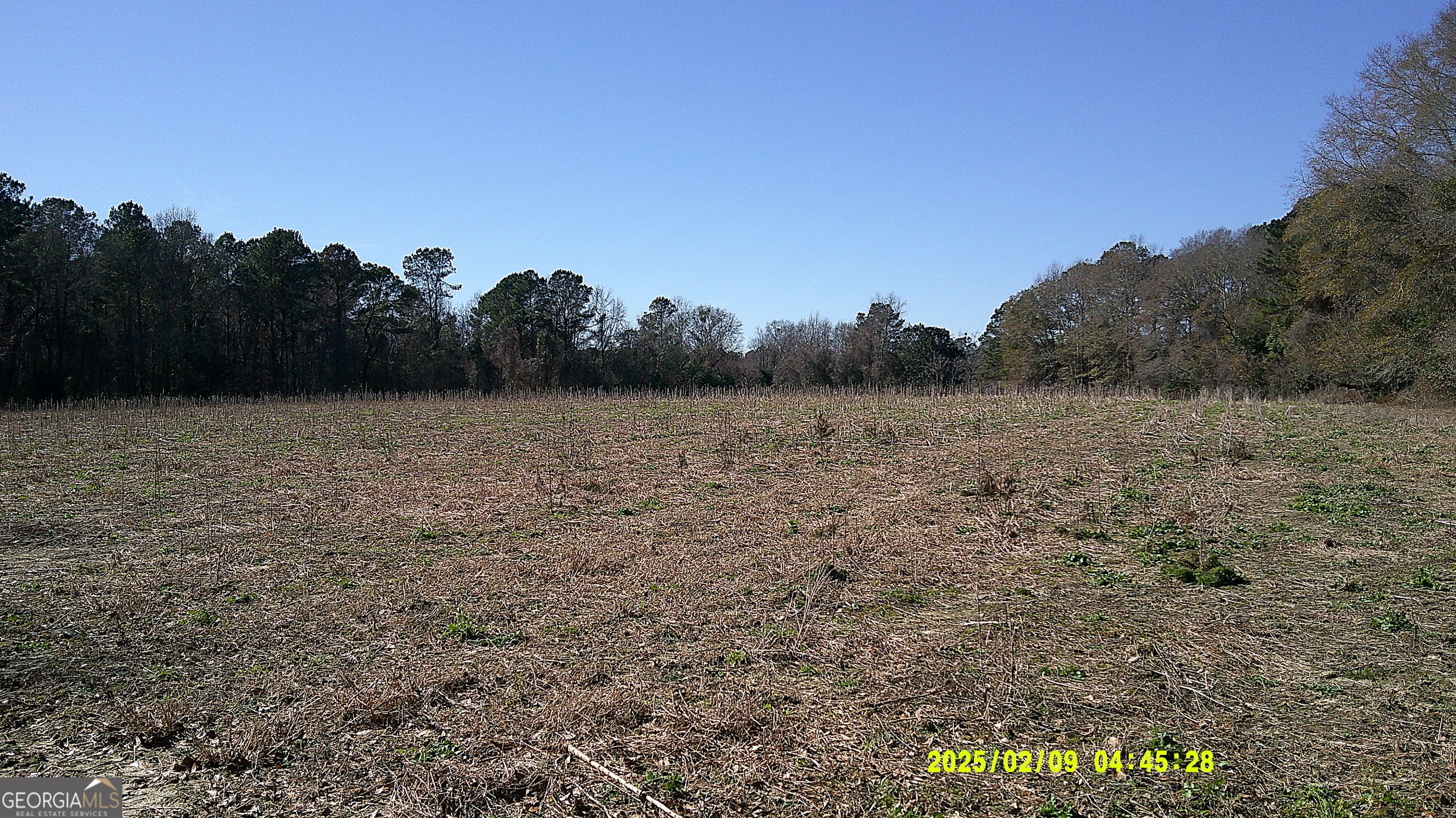 0 Elko Road Unadilla, GA 31091 - Photo 23 of 29 a view of an outdoor space and a yard