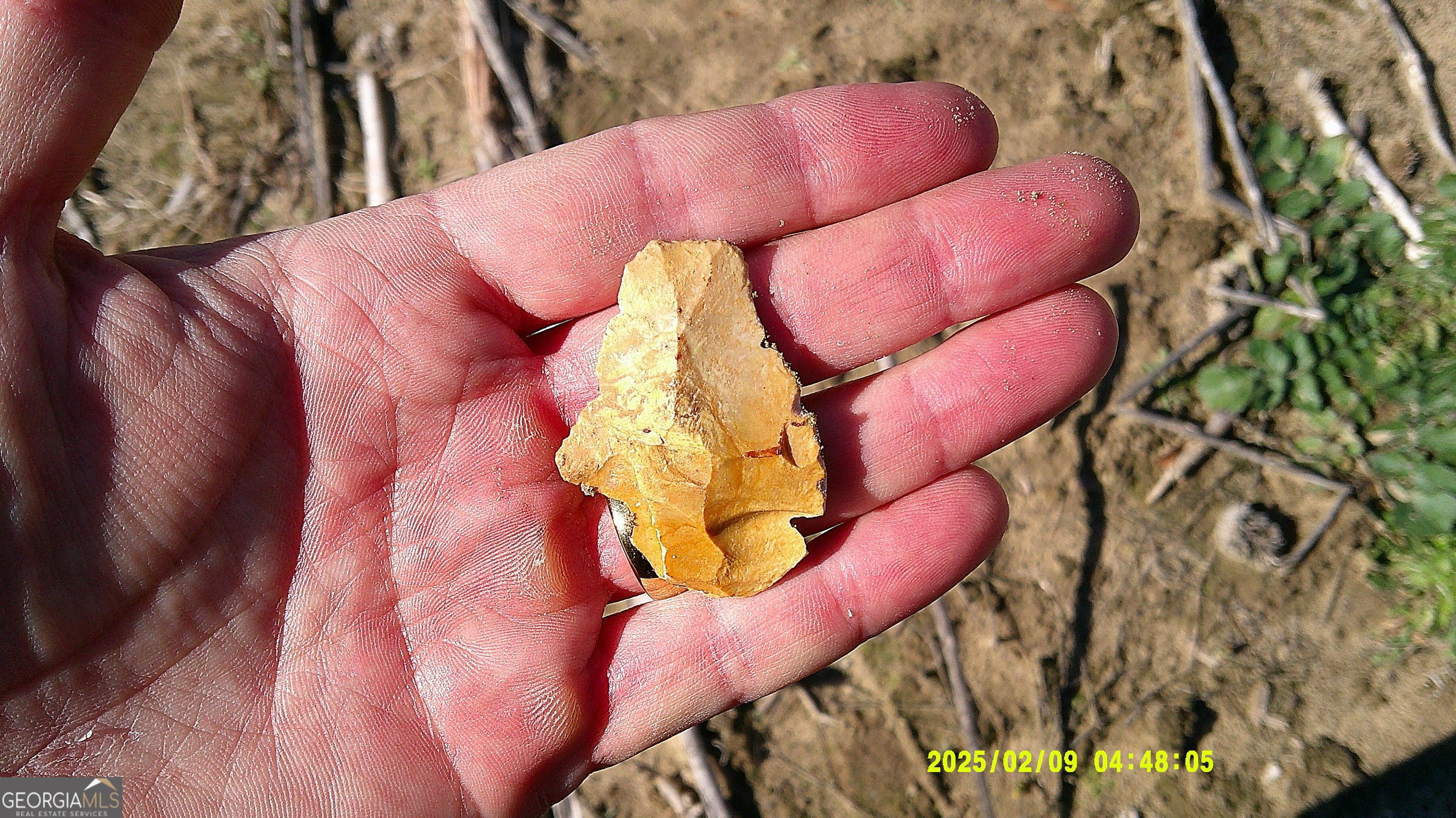 0 Elko Road Unadilla, GA 31091 - Photo 24 of 29 a view of a bathtub in a backyard