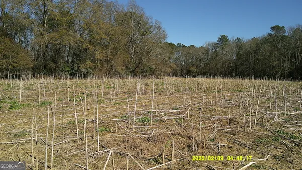 $375,000 | 0 Elko Road, Unadilla, GA 31091