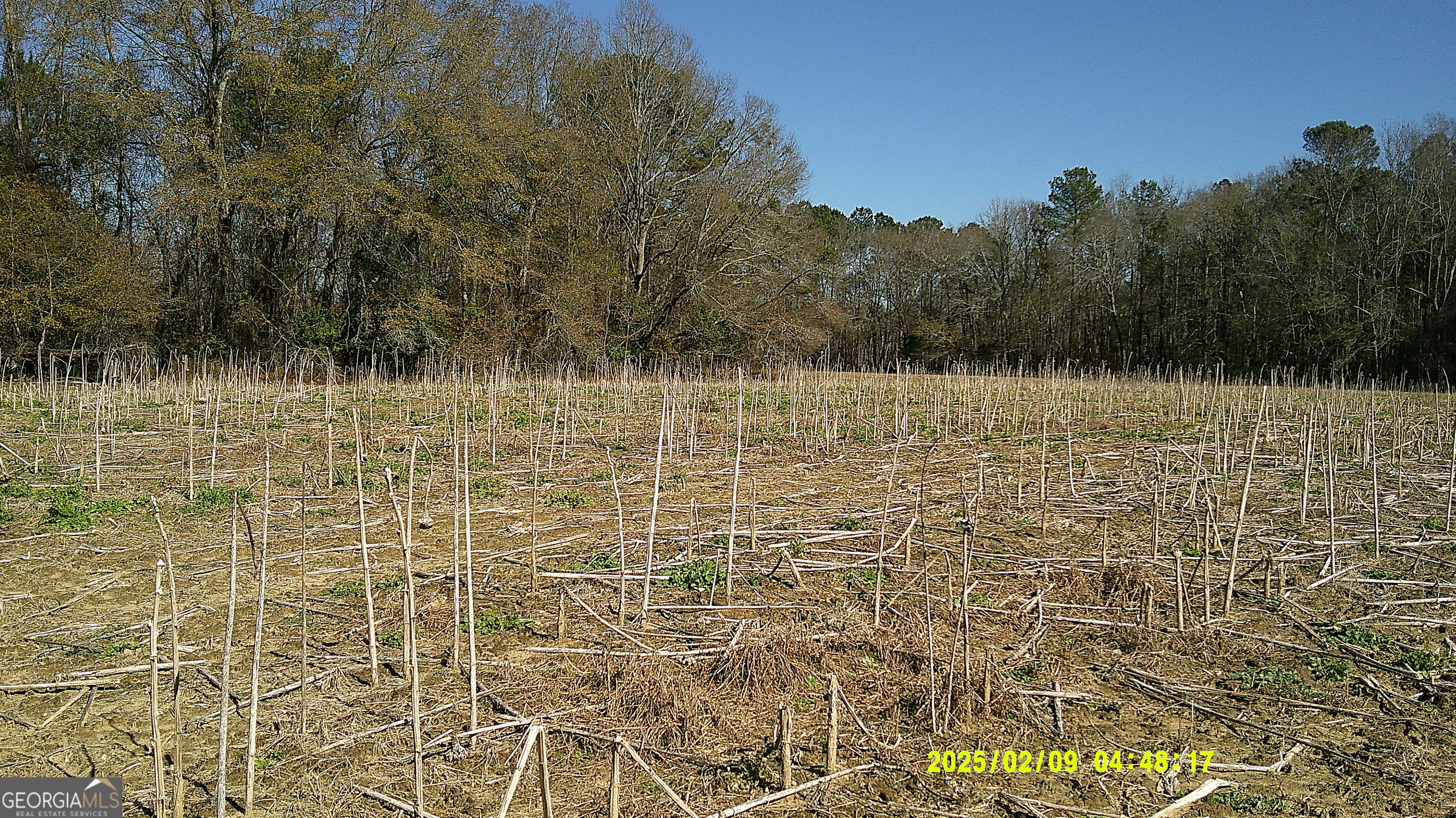 0 Elko Road Unadilla, GA 31091 - Photo 25 of 29