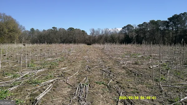 $375,000 | 0 Elko Road, Unadilla, GA 31091