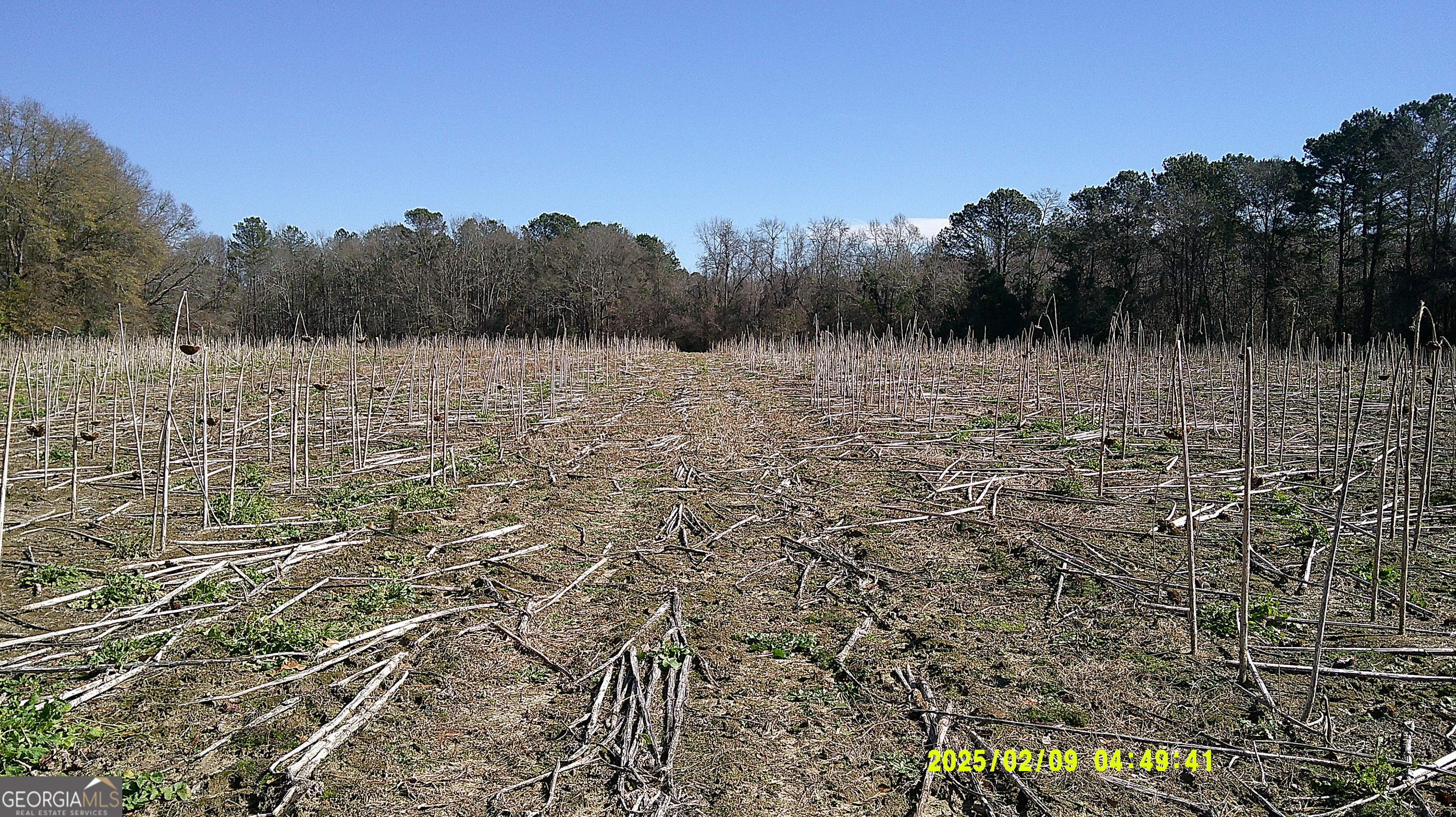 0 Elko Road Unadilla, GA 31091 - Photo 26 of 29 a view of a lake view