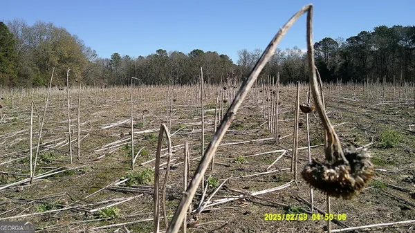 $375,000 | 0 Elko Road, Unadilla, GA 31091