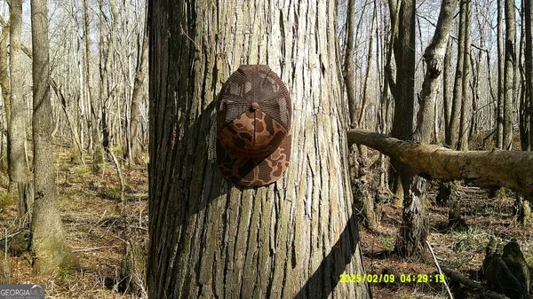 a view of outside area