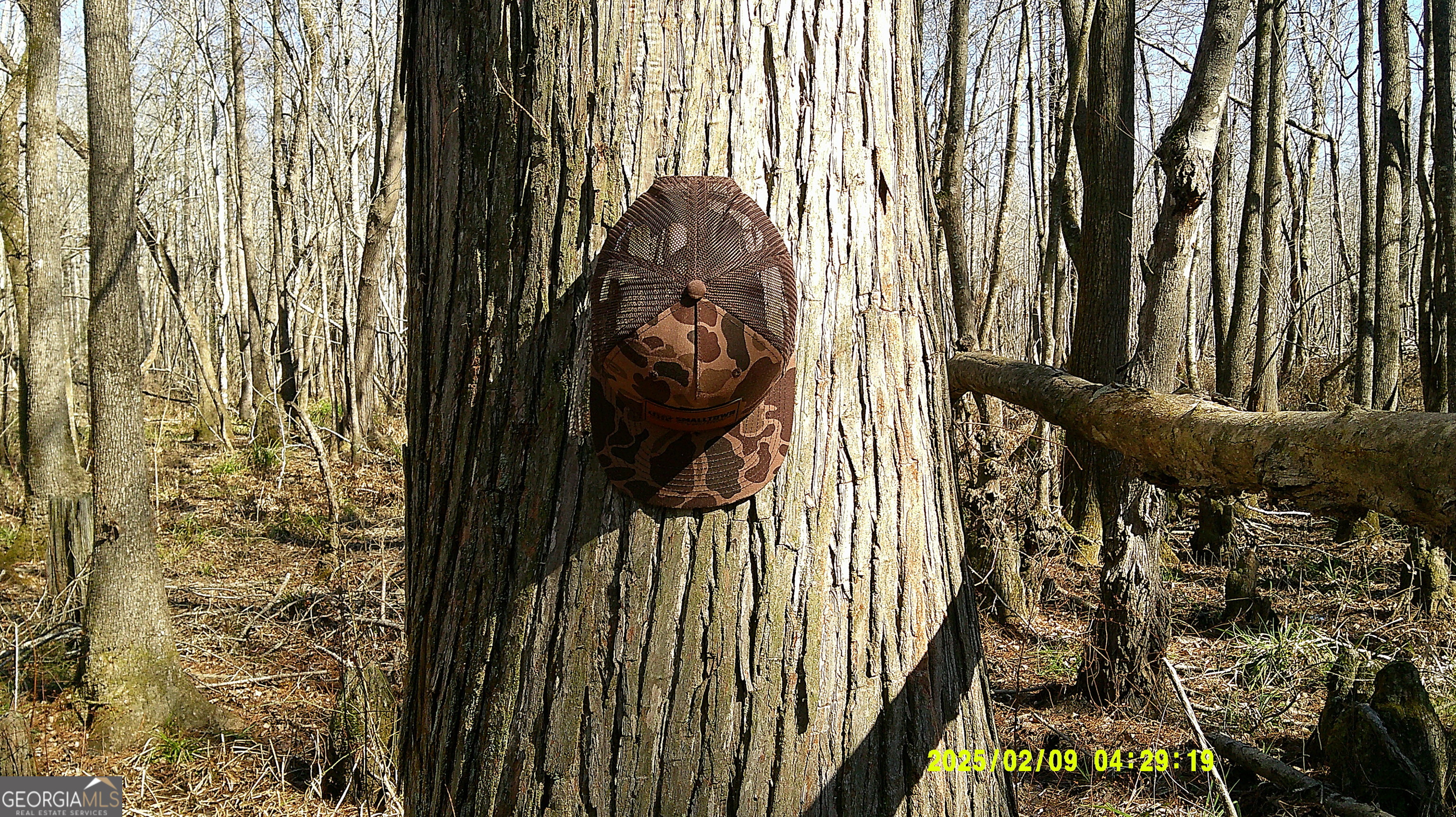 0 Elko Road Unadilla, GA 31091 - Photo 3 of 29 a view of a pathway of a house