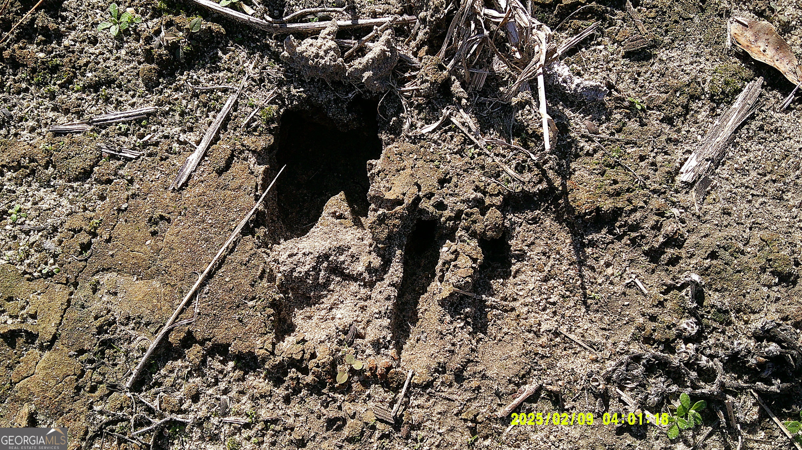 0 Elko Road Unadilla, GA 31091 - Photo 5 of 29 a view of outside area